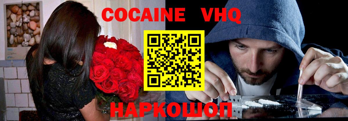Сокол  КОКАИН Fish Scale  где можно купить   Вход с VPN 