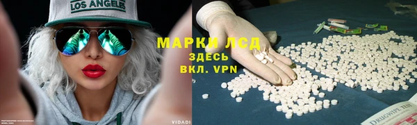 спайс Алзамай