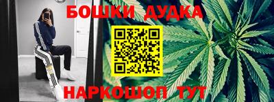 молекула духа Партизанск