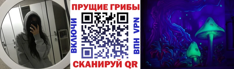 Галлюциногенные грибы мухоморы  Сокол 