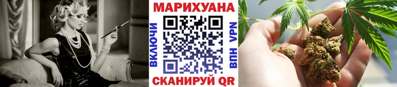 Канабис SATIVA & INDICA Сокол