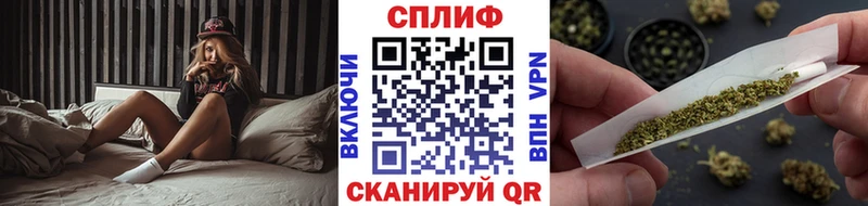 Шишки марихуана Amnesia Сокол